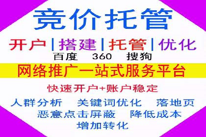 百度竞价SEM案例研究：提升转化率的关键策略